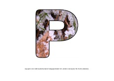 Winter-Deko-Buchstabe-P.pdf